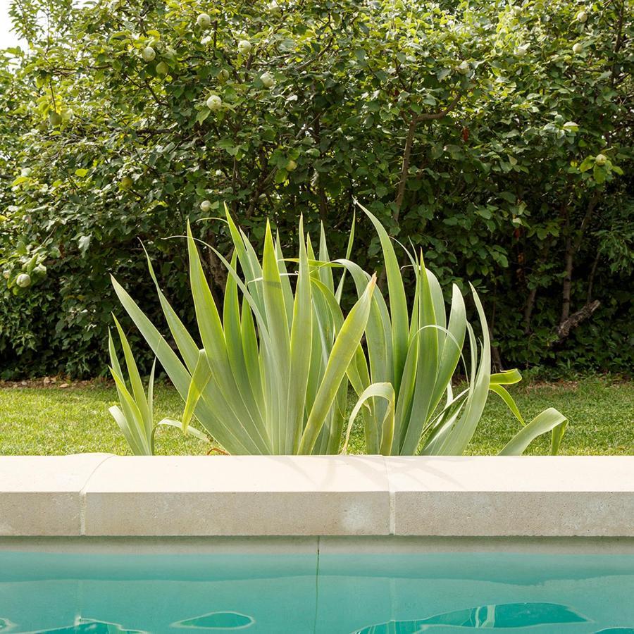 La Bastide Jouval Bed and Breakfast Gordes Εξωτερικό φωτογραφία